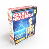 Исследовательский набор Скелет человека