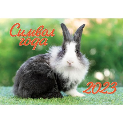 Календарь настенный перекидной "Символ года 1. Кролик. Маркет" на 2023 год
