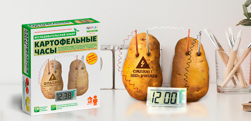 Как сделать картофельные часы и провести познавательный эксперимент для детей? 